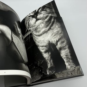 international photo magazine 3 - 画像 (10)