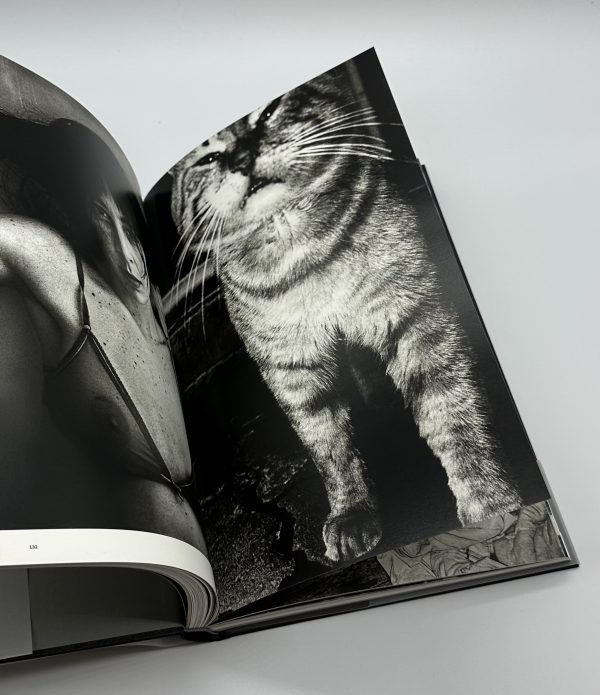 international photo magazine 3