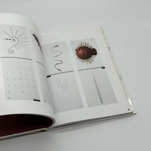Best Calendars of the Year vol. 2　The Latest Trends in Calendar Graphics　ベストカレンダーオブザイヤー - 画像 (5)