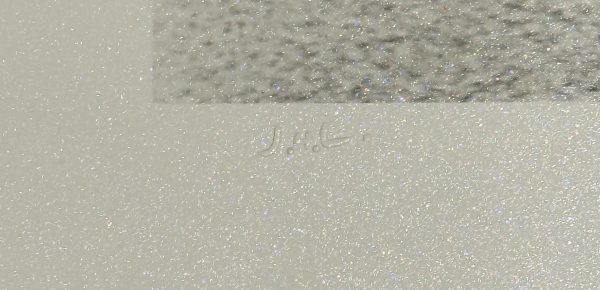 Jacques-Henri Lartigue　ゼラチンシルバープリント作品