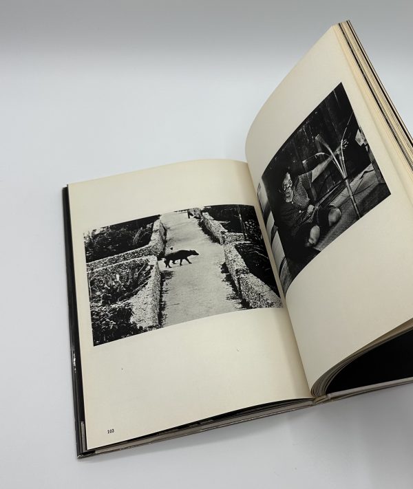 ドキュメント　視覚