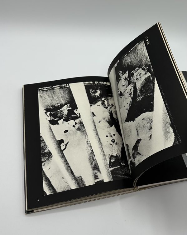 ドキュメント　視覚