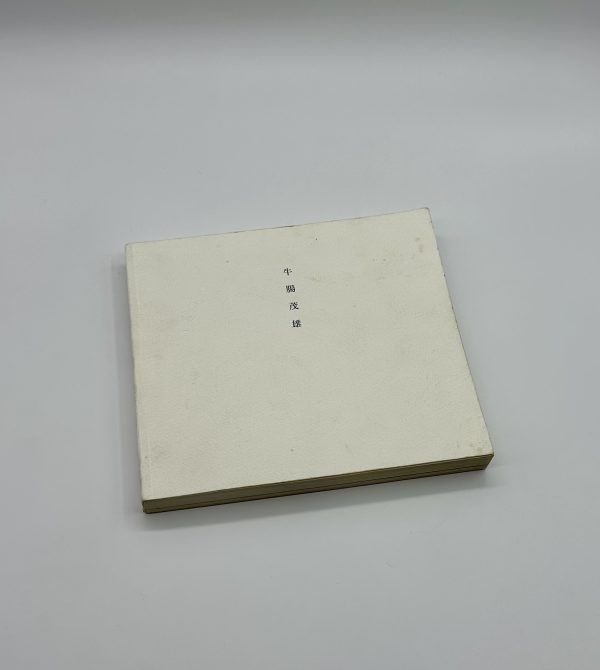 牛腸茂雄　1946-1983　SHIGEO GOCHO A RETROSPECTIVE