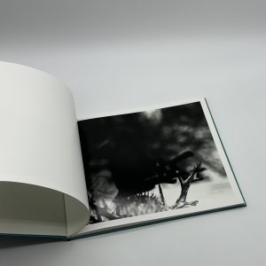 Dance with Blanks - 画像 (4)