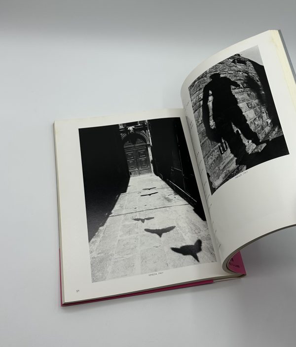 昭和写真　全仕事9　奈良原一高