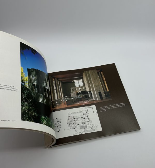 IN THE REALM OF IDEAS