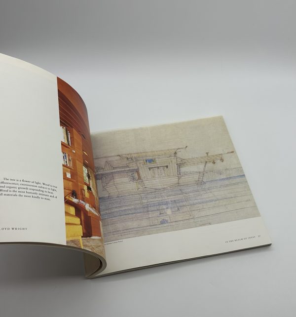 IN THE REALM OF IDEAS