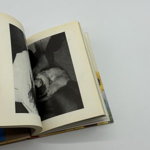 東京日和 - 画像 (9)