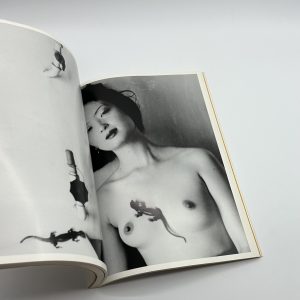 東京コメディー - 画像 (11)