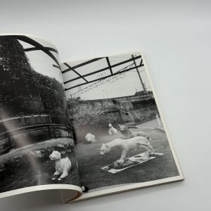 東京コメディー - 画像 (4)