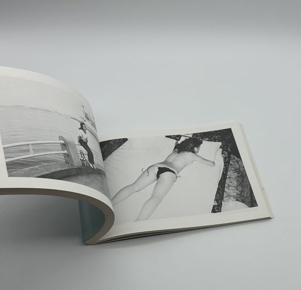 荒木経惟の偽日記