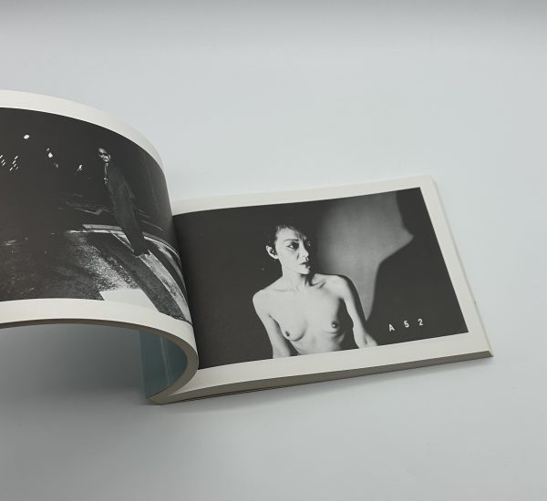 荒木経惟の偽日記