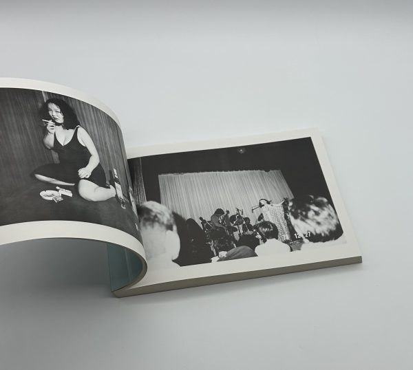 荒木経惟の偽日記