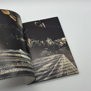 SHADOWS - 画像 (3)