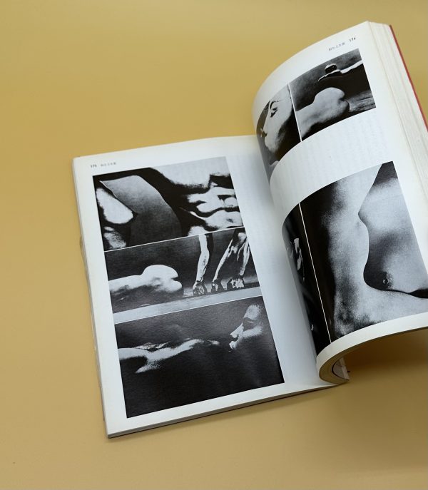 現代写真の名作研究