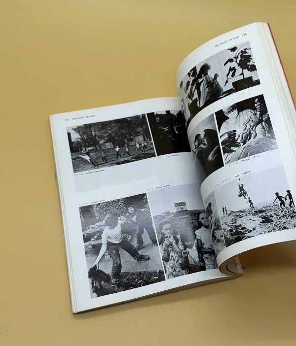 現代写真の名作研究