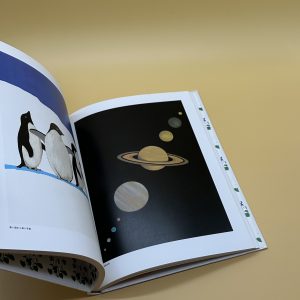 特別飛行便 - 画像 (9)