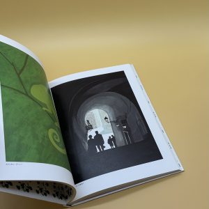 特別飛行便 - 画像 (6)