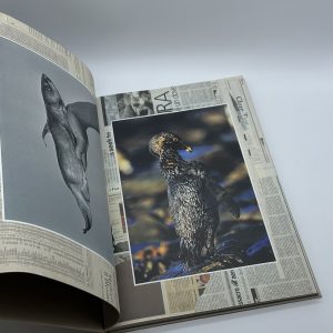 百年の愚行 - 画像 (4)