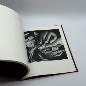 Michiko Kon - 画像 (10)