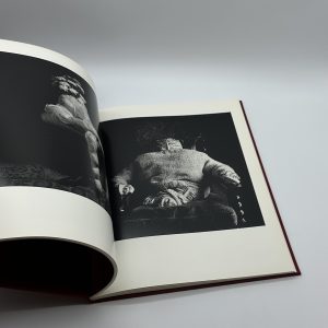 Michiko Kon - 画像 (6)