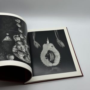 Michiko Kon - 画像 (4)