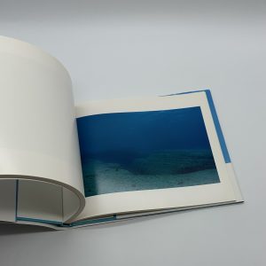 この星 - 画像 (12)