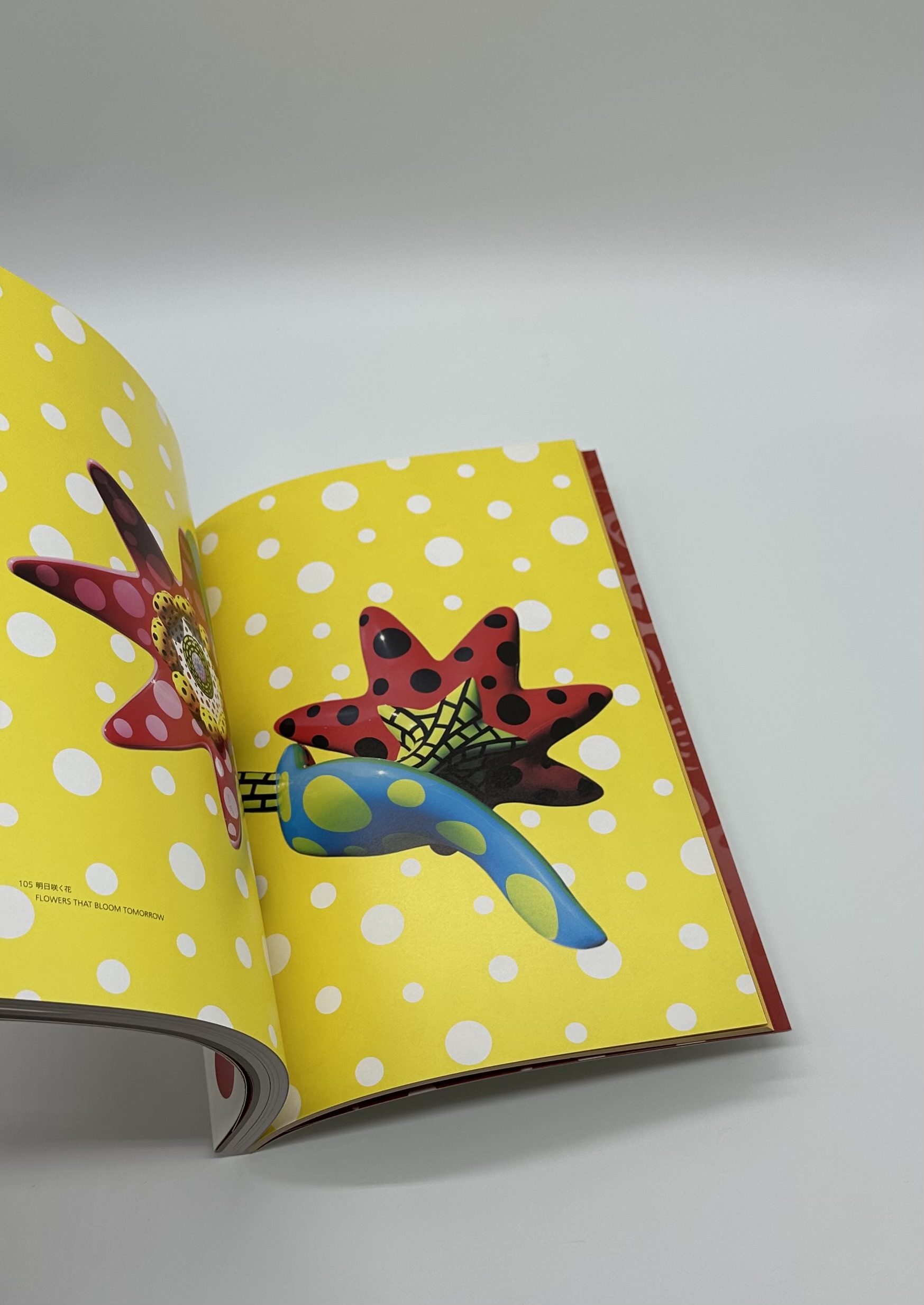 草間彌生　永遠の永遠の永遠 - 画像 (4)