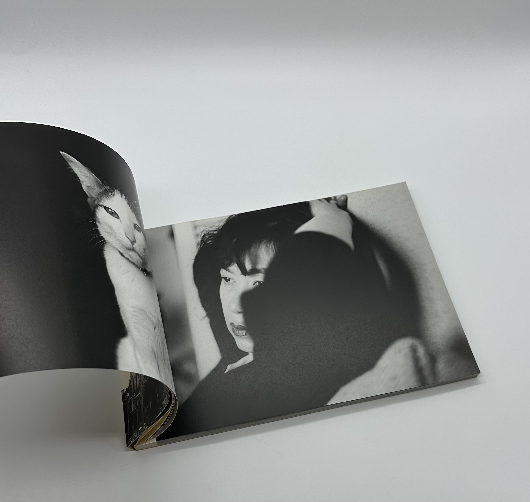 東京物語 - 画像 (2)