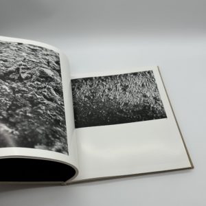 河　累影 - 画像 (7)