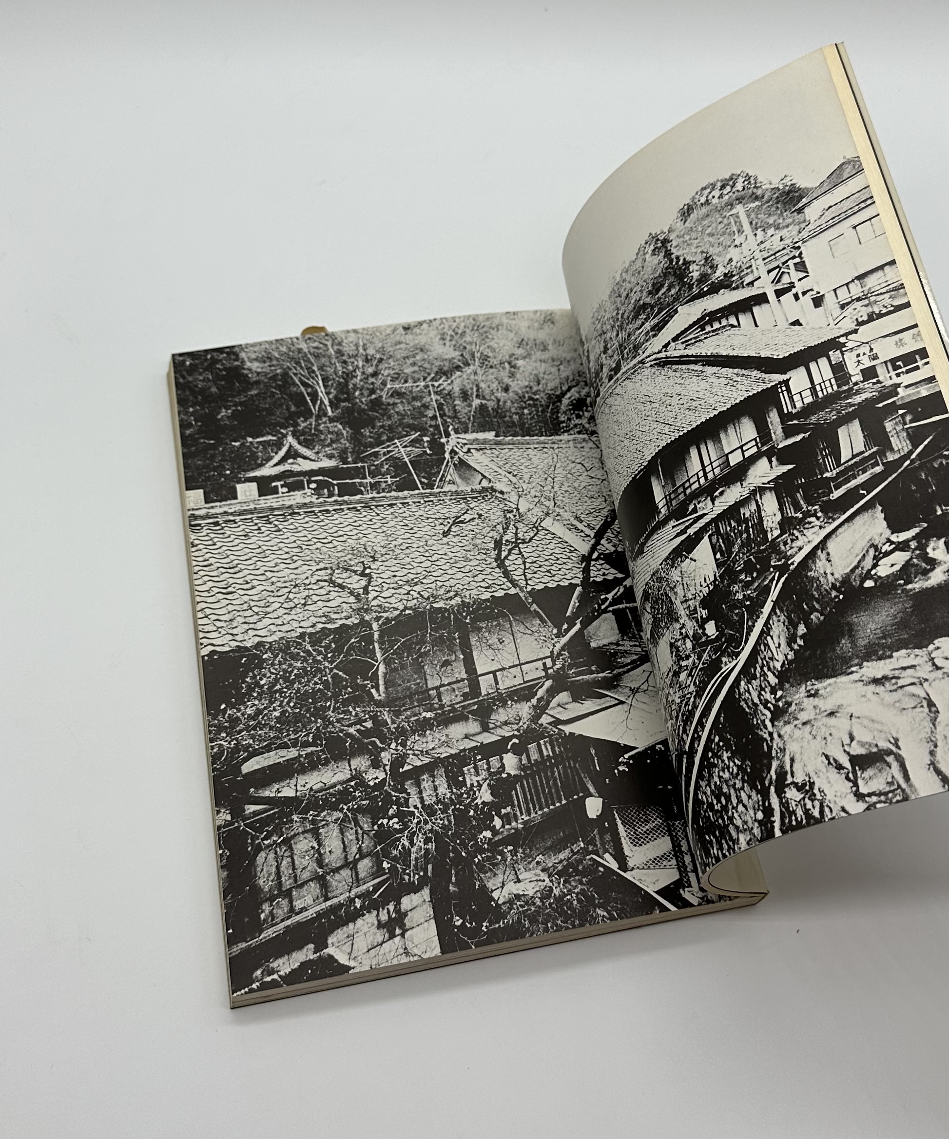 温泉芸者 - 画像 (4)