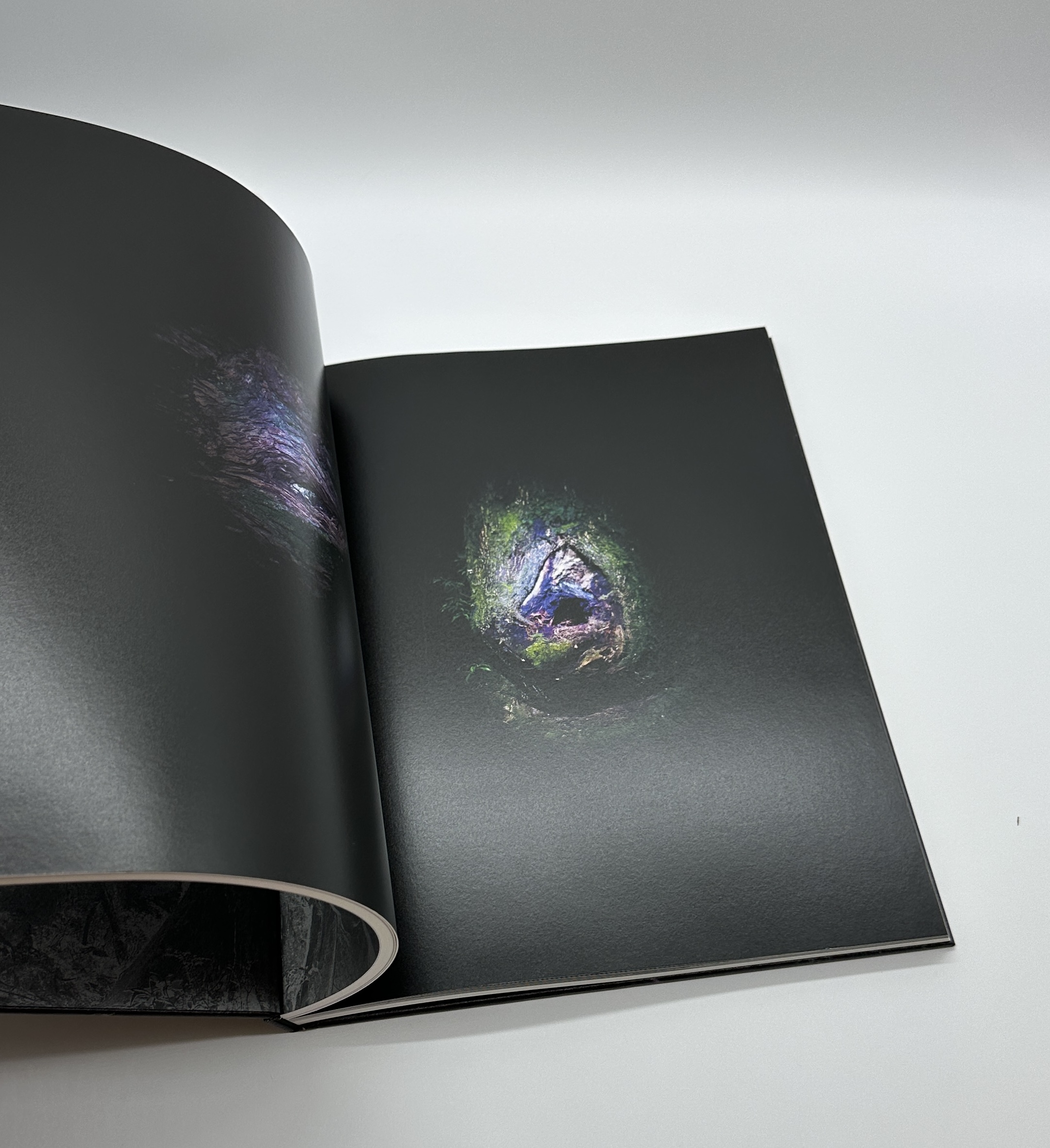 JINEN　自然 - 画像 (8)