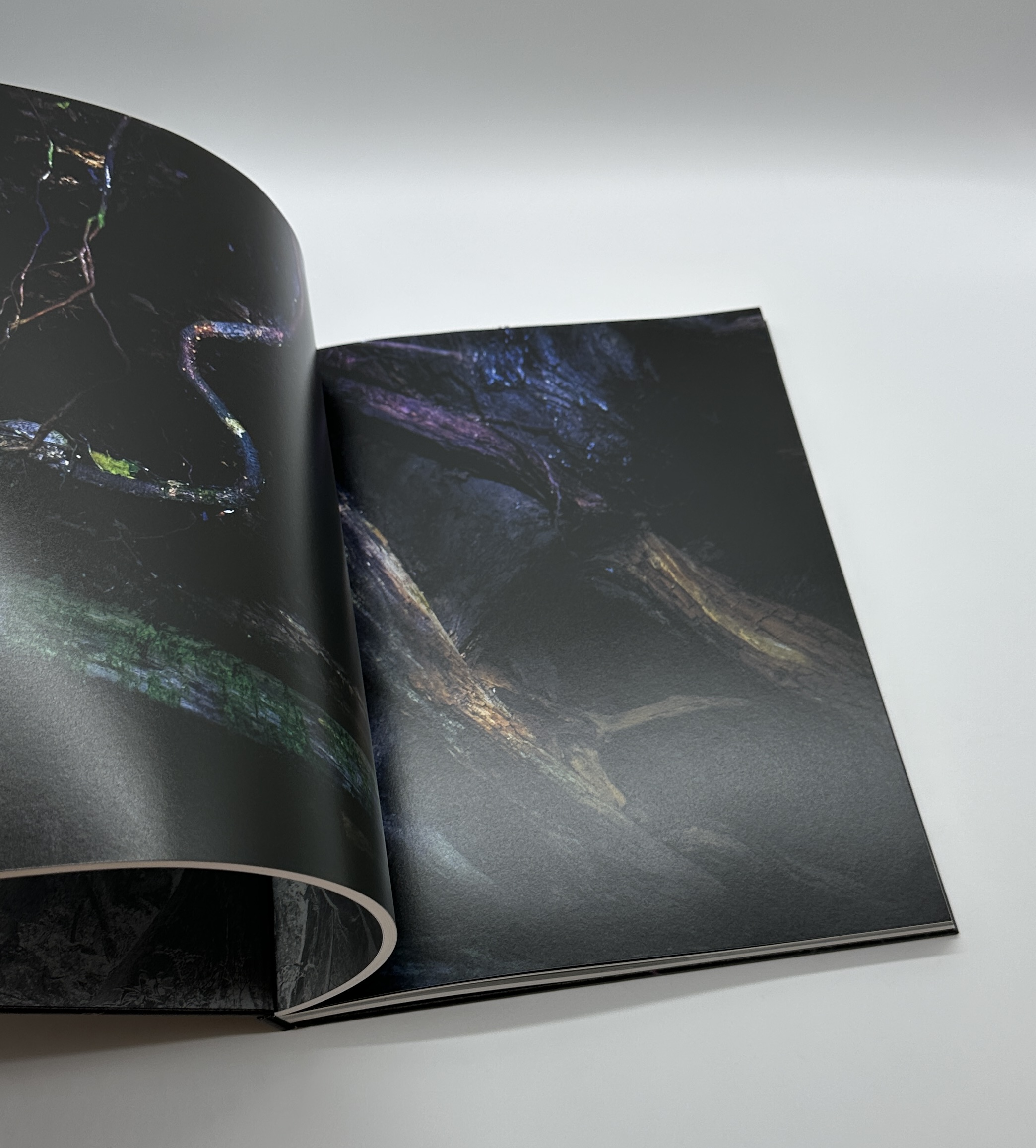 JINEN　自然 - 画像 (7)