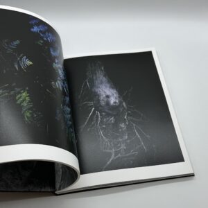 JINEN　自然 - 画像 (6)