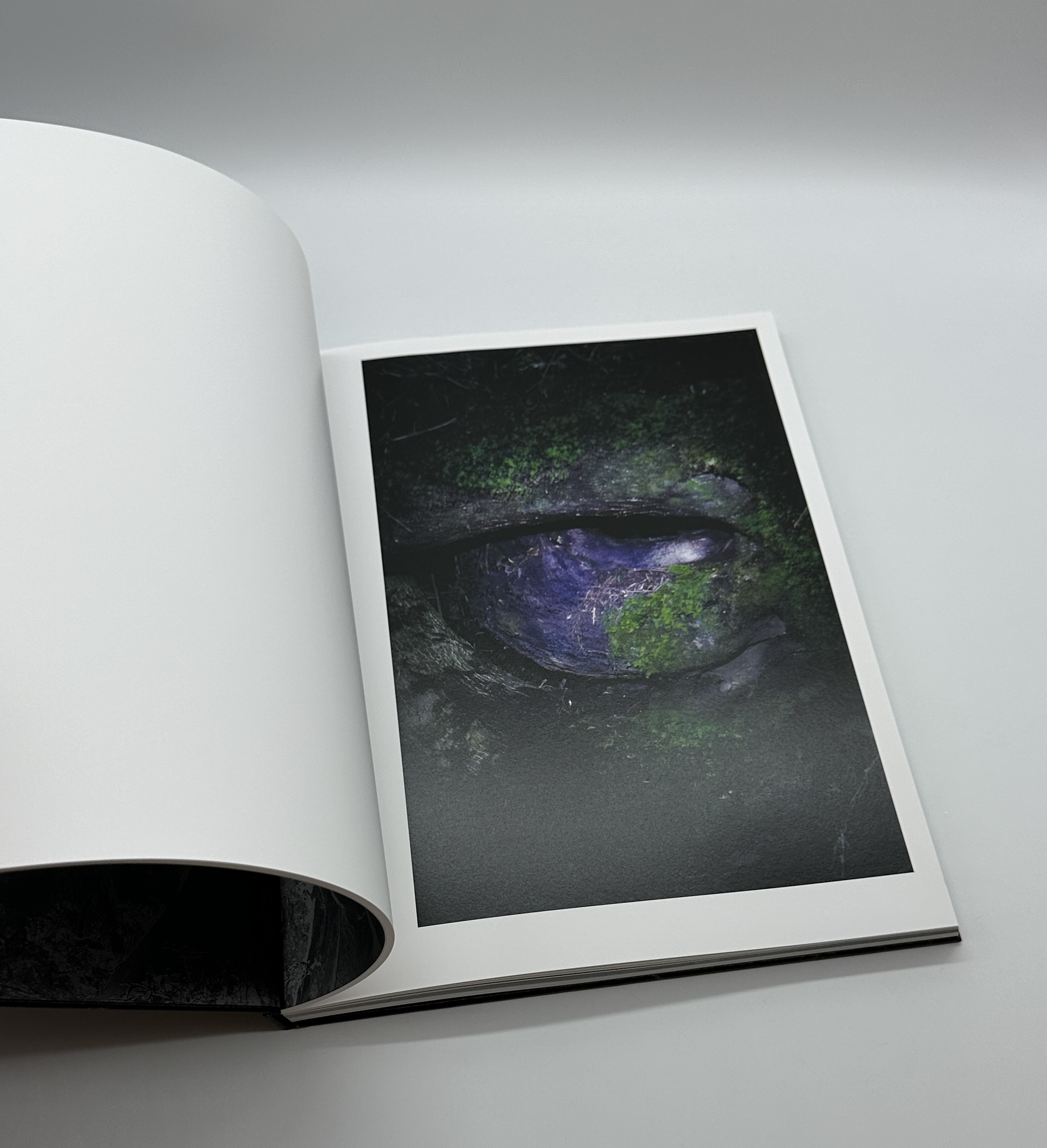 JINEN　自然 - 画像 (5)