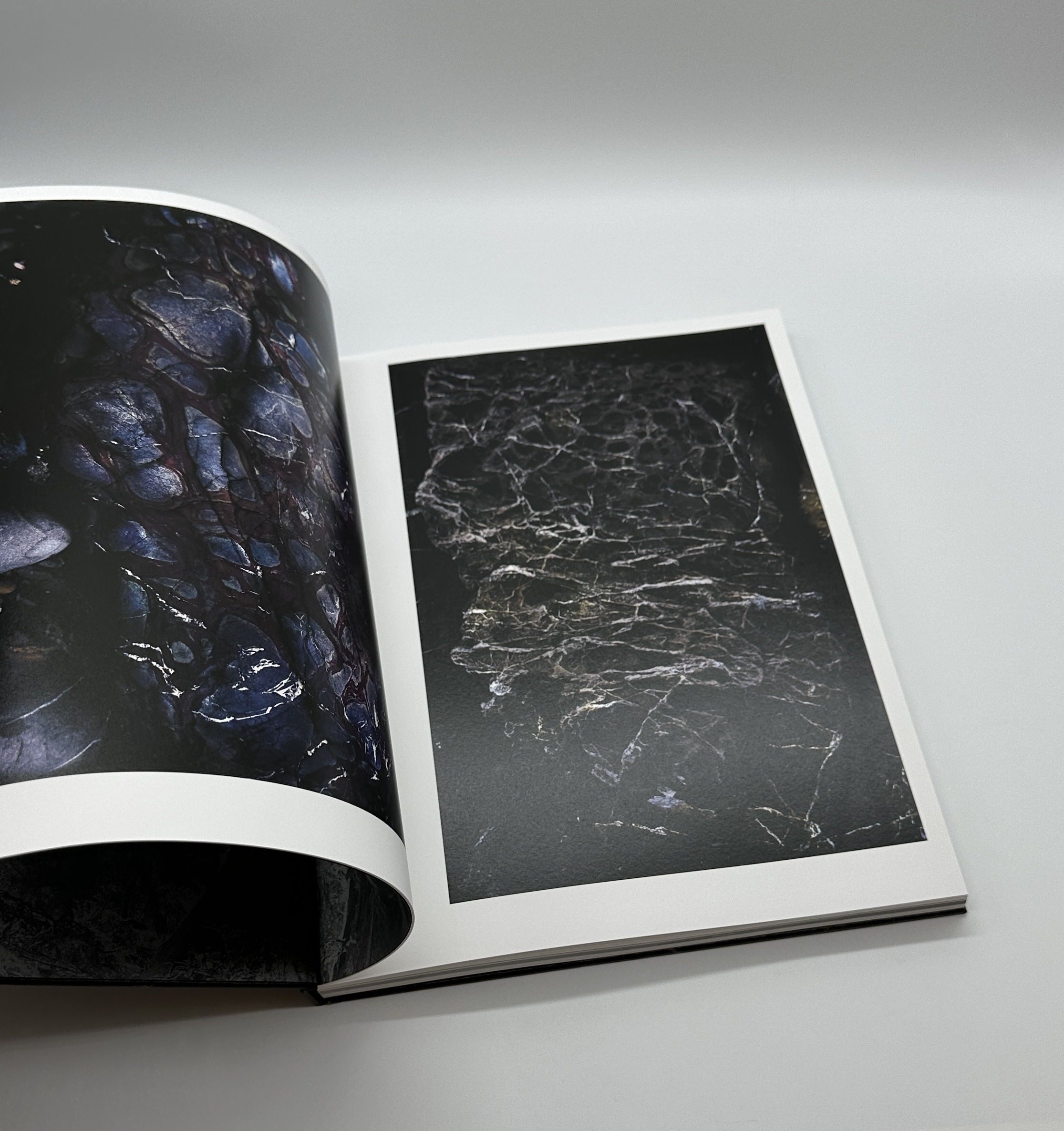 JINEN　自然 - 画像 (3)