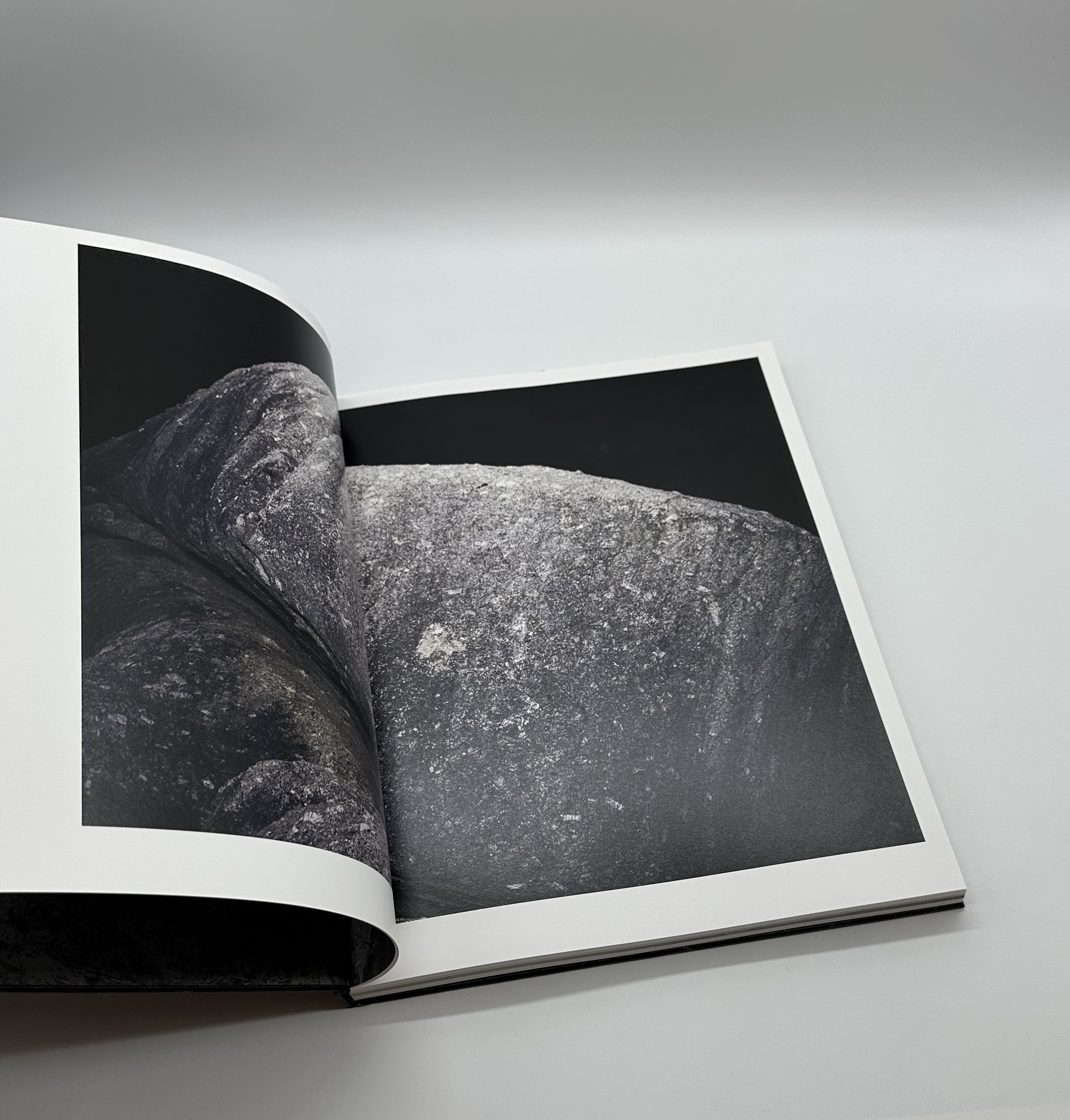 JINEN　自然 - 画像 (2)