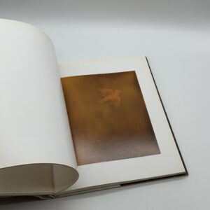 1988 - 1997 - 画像 (5)