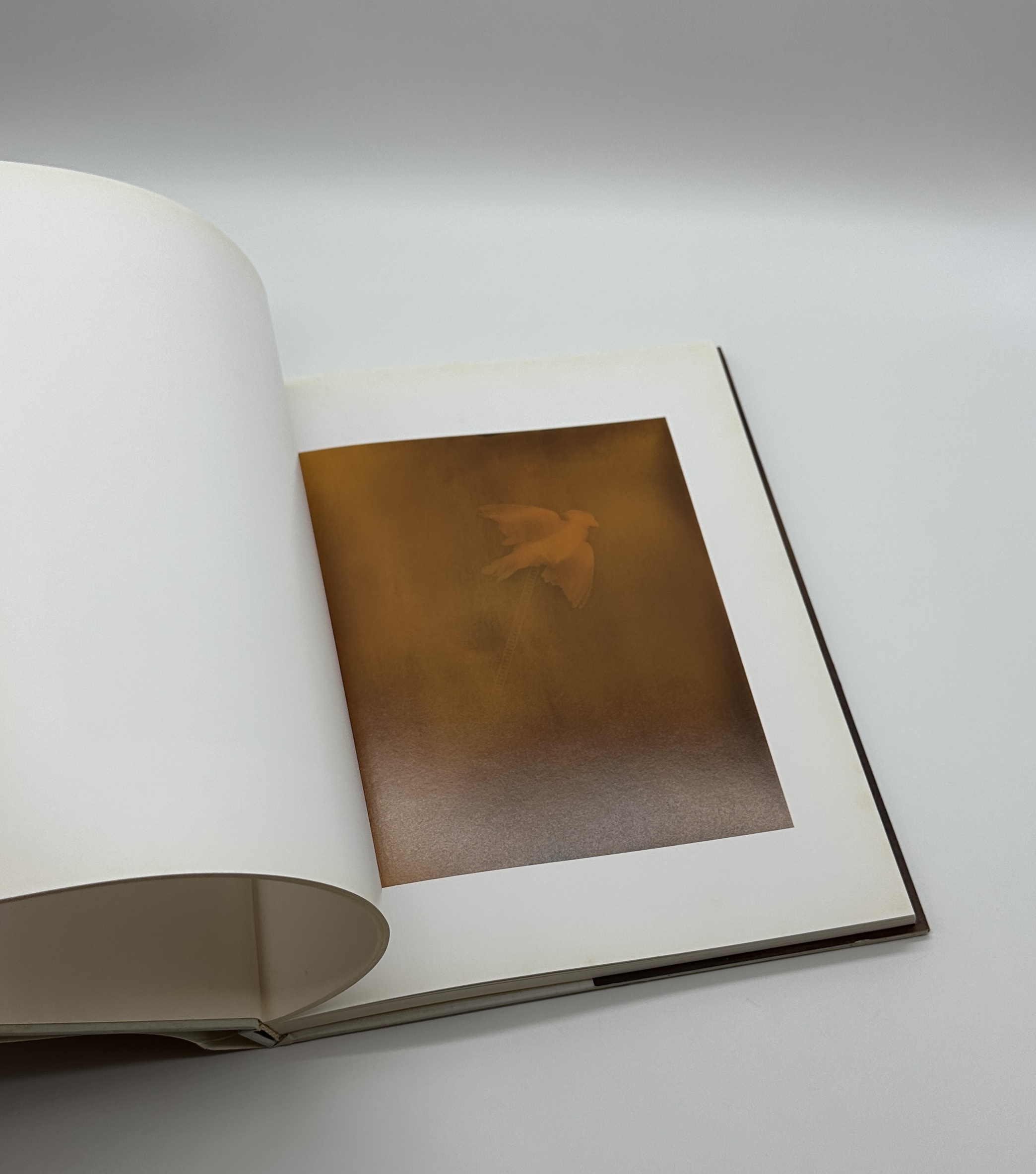 1988 - 1997 - 画像 (5)