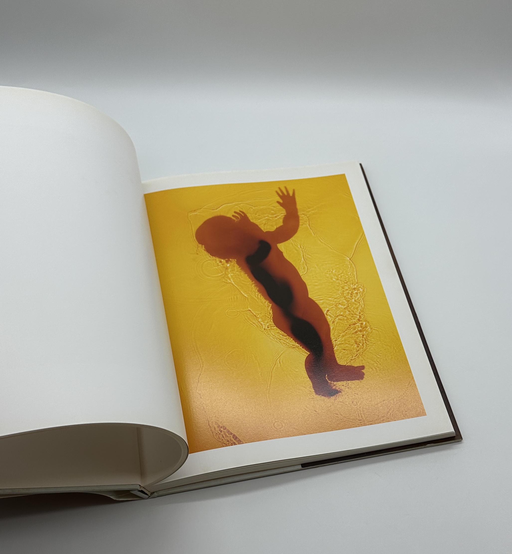 1988 - 1997 - 画像 (4)