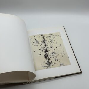 1988 - 1997 - 画像 (3)