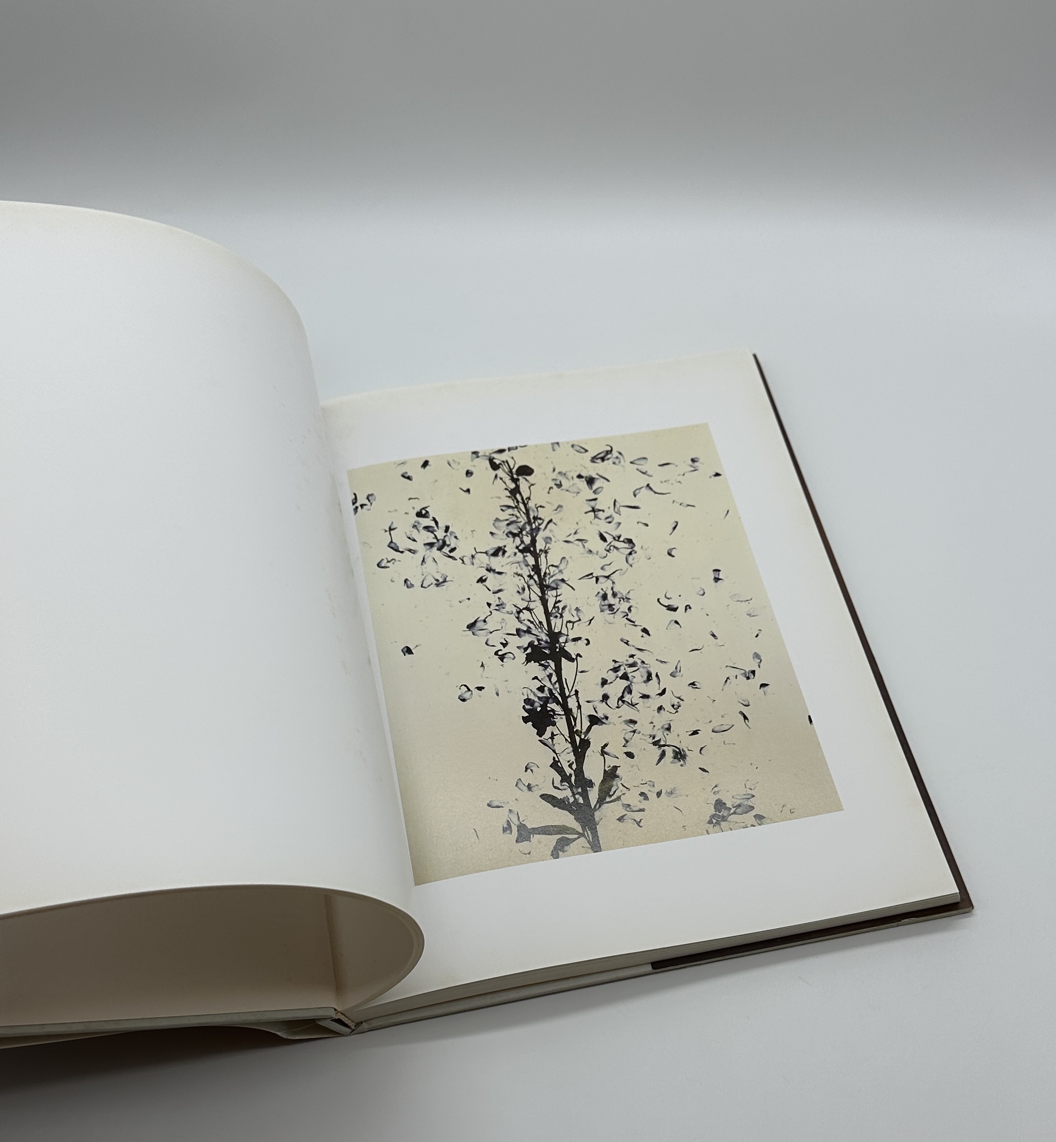 1988 - 1997 - 画像 (3)