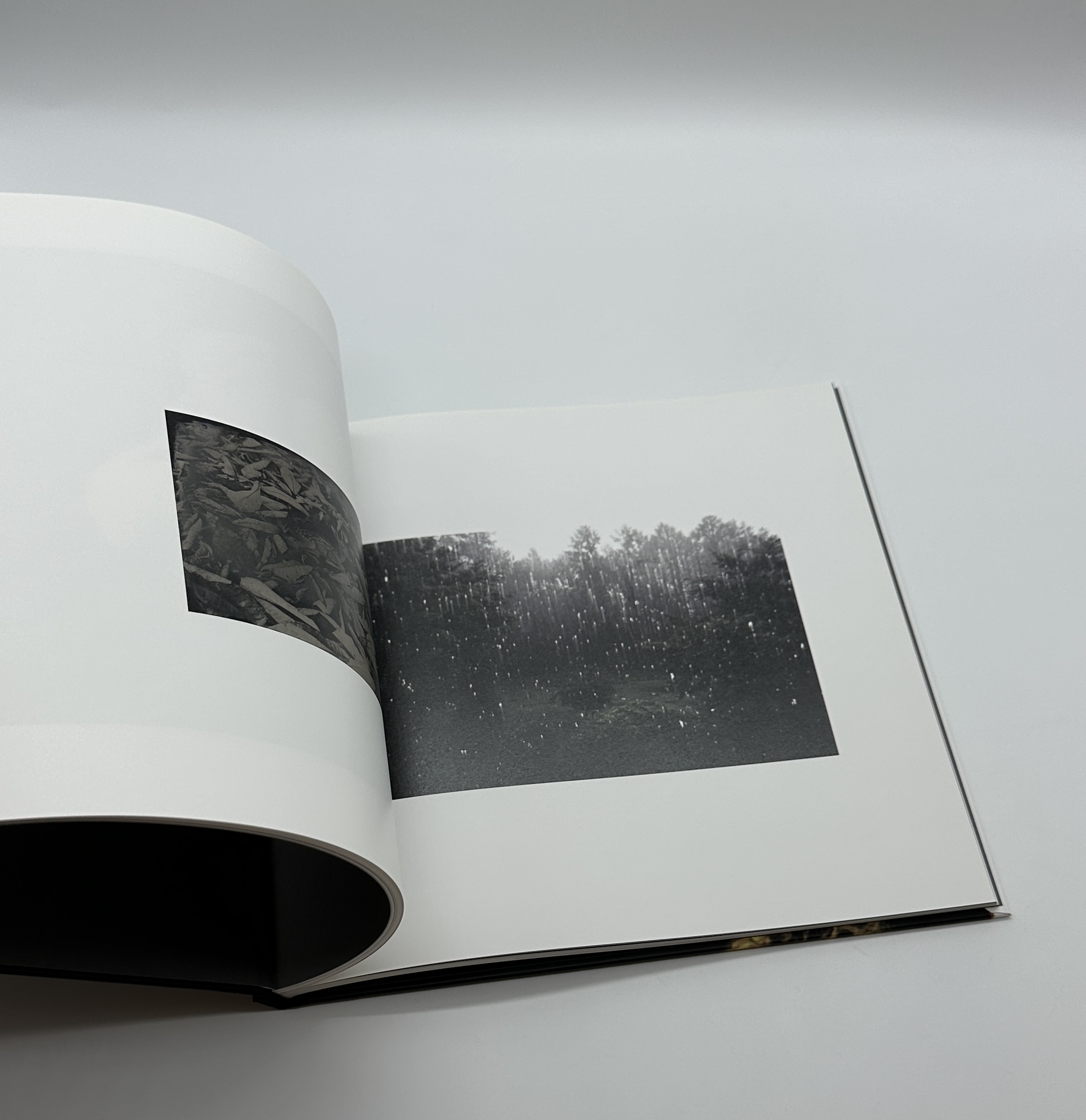 くらやみ - 画像 (8)