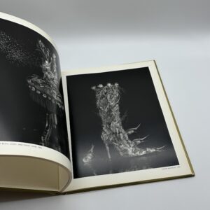 STILL LIFES - 画像 (8)