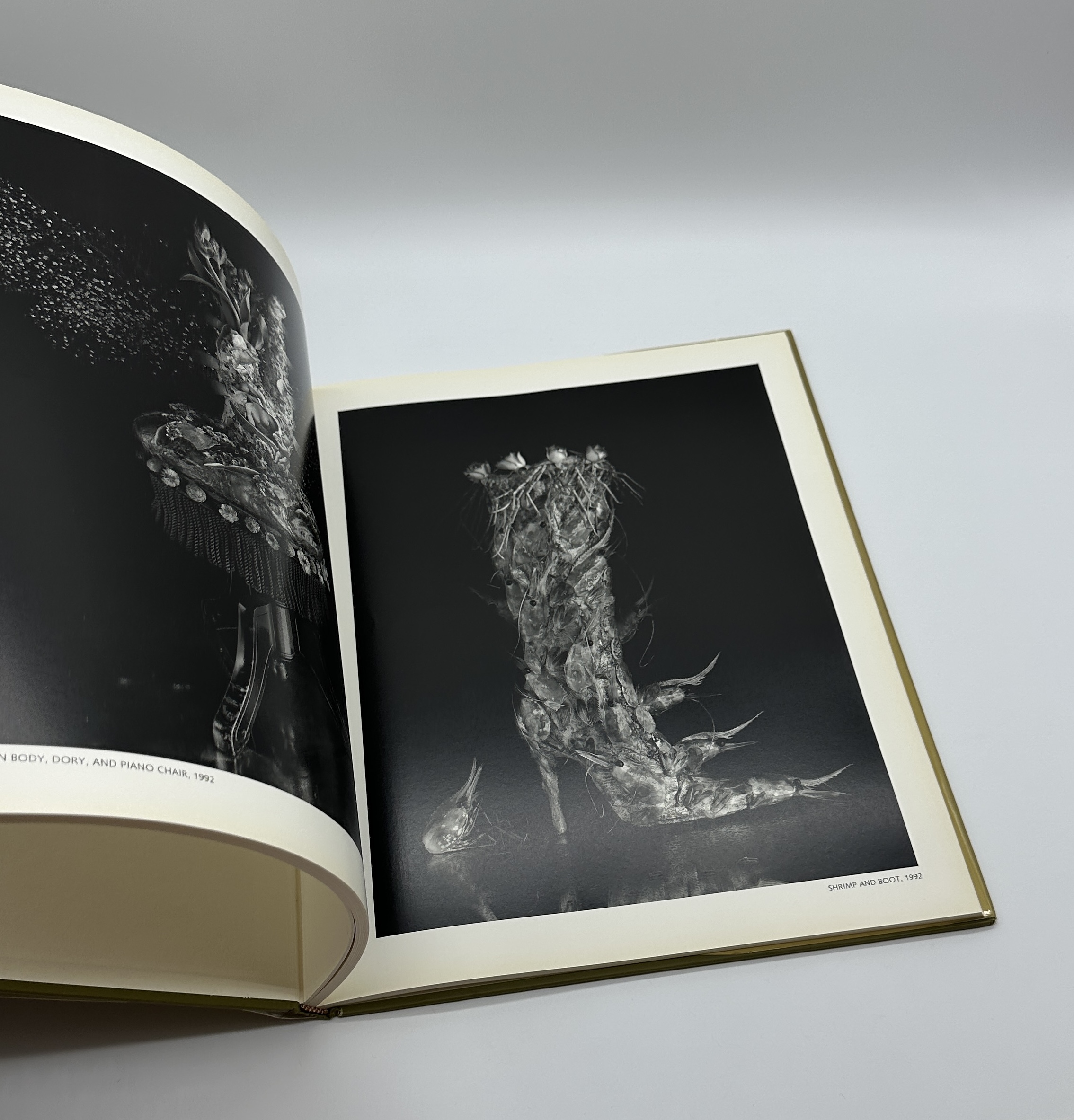 STILL LIFES - 画像 (8)