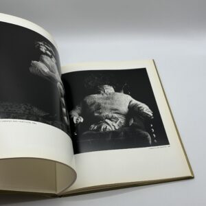 STILL LIFES - 画像 (6)