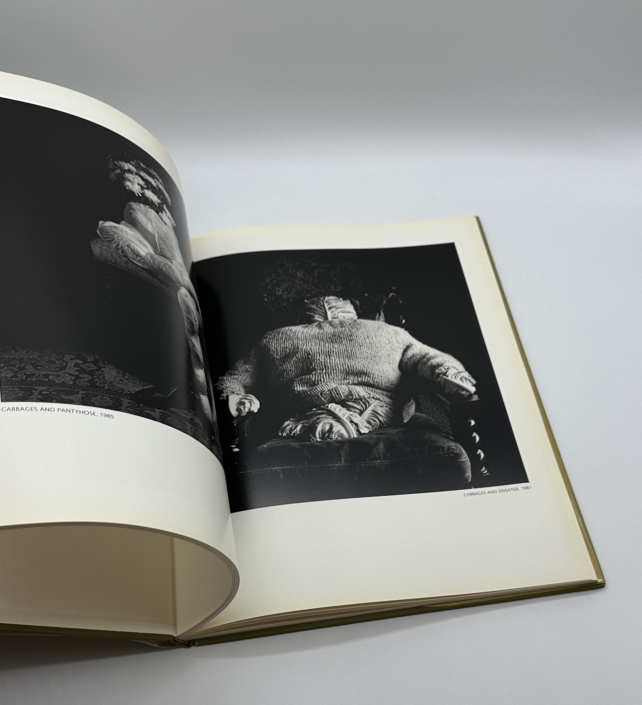 STILL LIFES - 画像 (6)