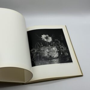 STILL LIFES - 画像 (5)