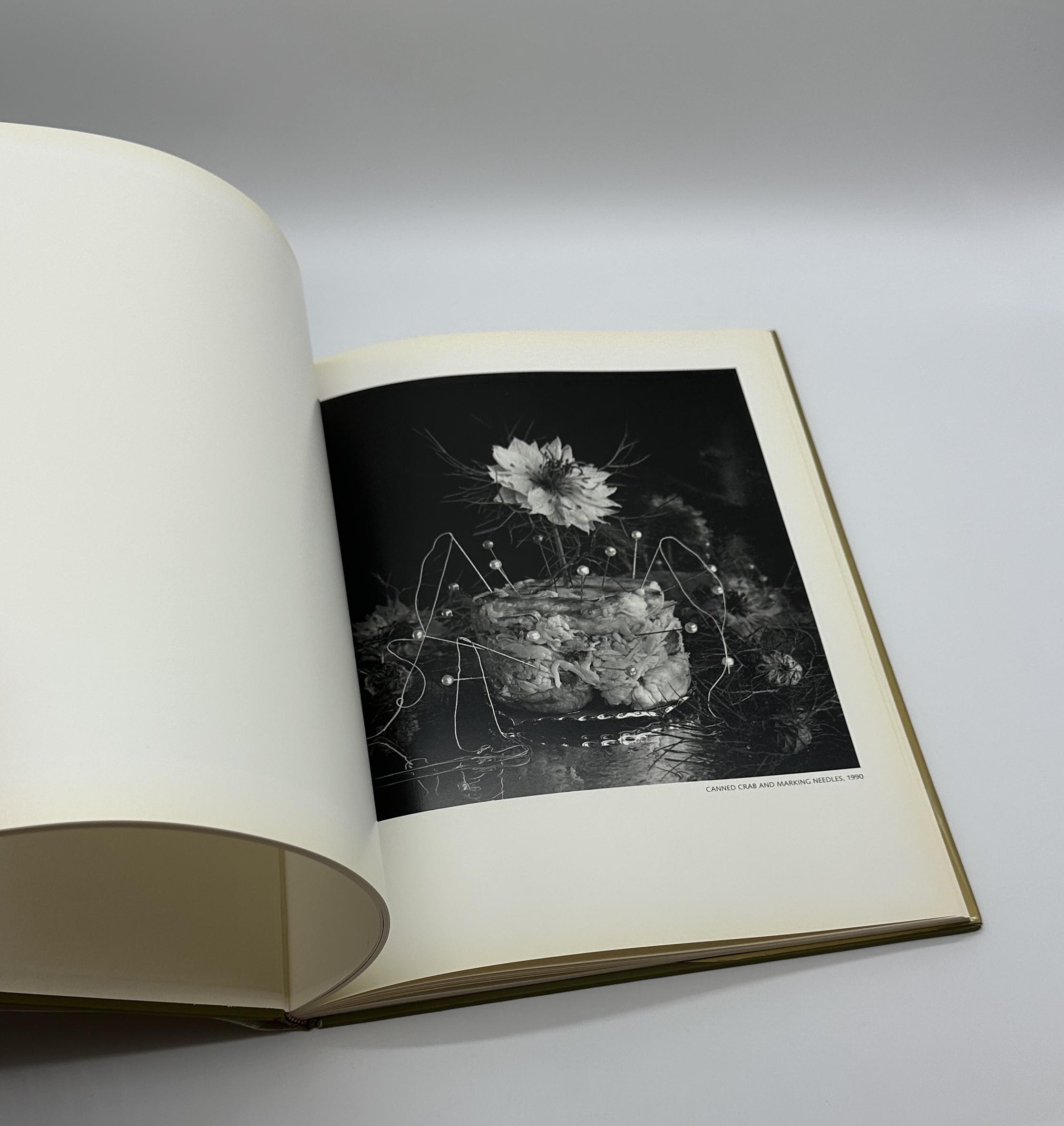 STILL LIFES - 画像 (5)