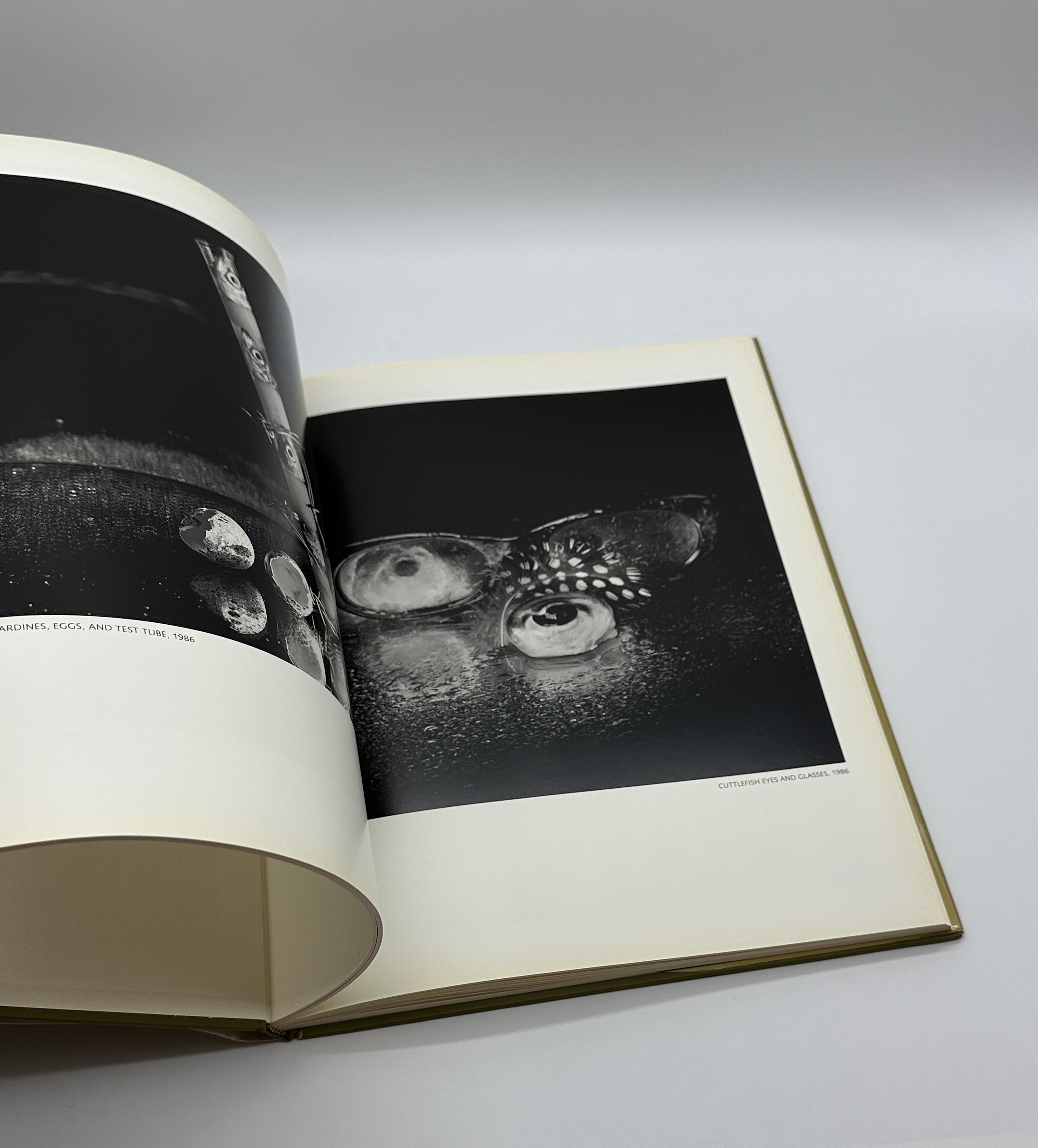 STILL LIFES - 画像 (4)